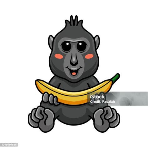 Lucu Kecil Jambul Hitam Kera Kartun Memegang Pisang Ilustrasi Stok Unduh Gambar Sekarang Istock