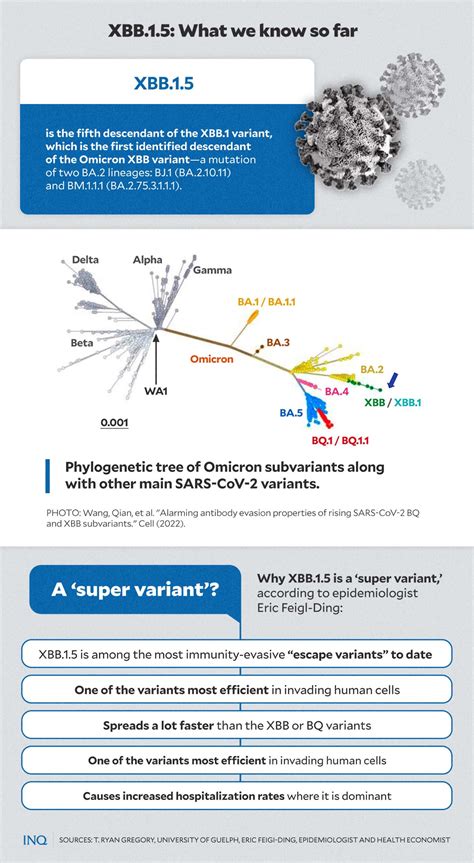 Meet Xbb The New Covid Subvariant That Defies Immunity Infects