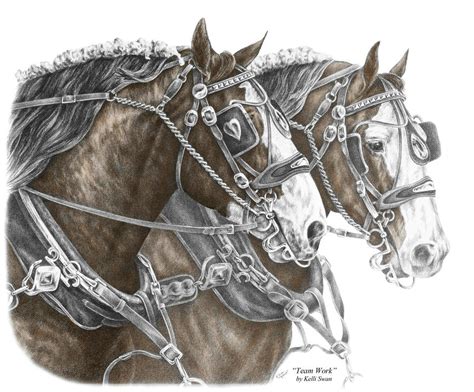 Draft Horse Drawing at GetDrawings | Free download