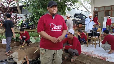 Hanya Sehari Panitia Kurban Stiba Makassar Distribusikan 29 Ekor Sapi