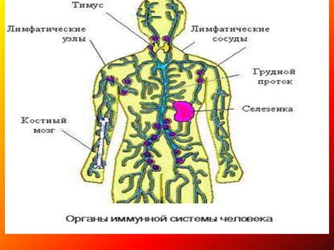 Группы крови. Переливание крови - online presentation