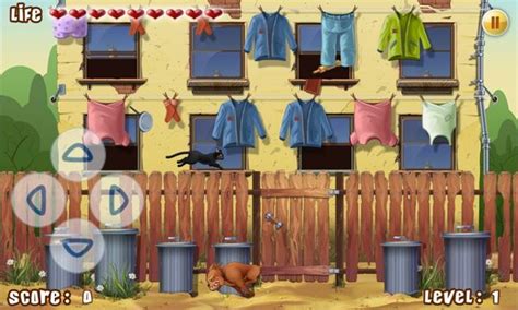 Alley Cat Hardcore Gaming 101