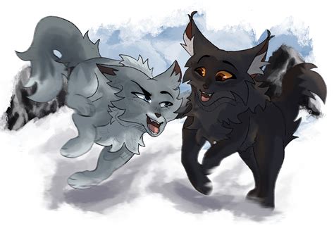 Clear Sky and Gray Wing!! : r/WarriorCats