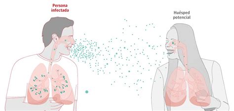 El SARS CoV 2 Y El Resto De Los Virus Respiratorios Se Propagan Por