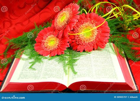 Open Bible And Flowers Stock Image Image Of Bible Formal 30905707