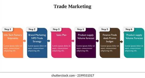 Six Steps Trade Marketing Infographic Template Stock Vector Royalty