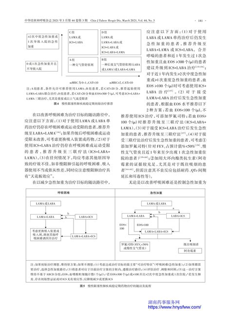 慢性阻塞性肺疾病诊治指南（2021年修订版）指南•规范•共识药讯中心湖南药事服务网