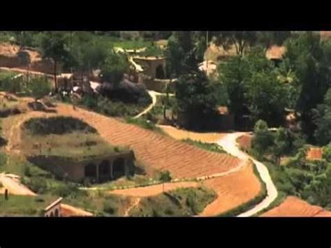 Rehabilitate Large-Scale Damaged Ecosystems - Green Gold Documentary | Ecosystems, Green and ...