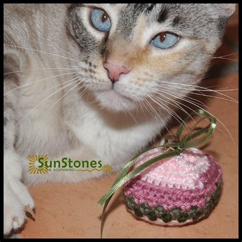 Catnip Cat Toys All Proceeds Donated