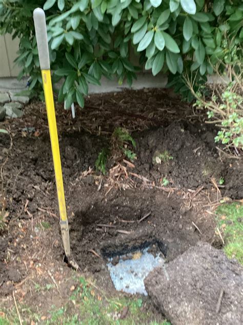 Your Guide To Septic Pumping In Everett Superior Septic Services