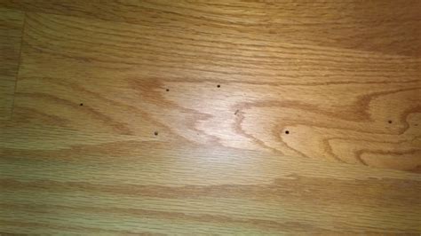 Fresh Holes In Hardwood Floors