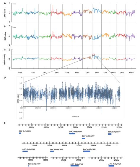 Figure 1 From Qtl Mapping And Identification Of Candidate Genes For