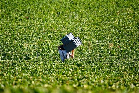 Región de Champagne Cuna de los mejores vinos espumosos