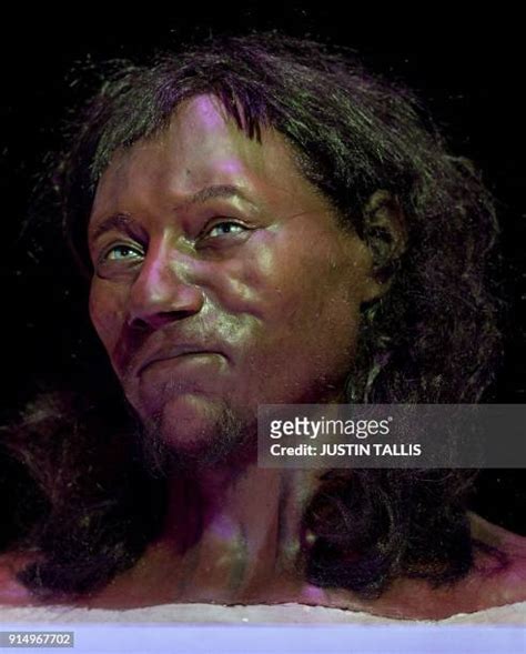 Cheddar Man Photos And Premium High Res Pictures Getty Images