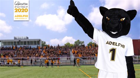 Class of 2020 Celebration Assets | Adelphi University