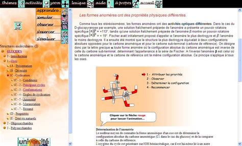 Les Glucides Biochemie Les Glucides