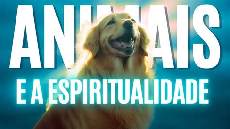 ANIMAIS E A ESPIRITUALIDADE SEU PET COMO VOCÊ JAMAIS VIU YouTube