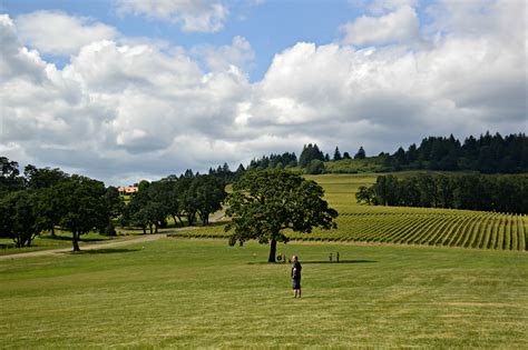 Wine Tasting In Willamette Valley - The Wandering Weekenders