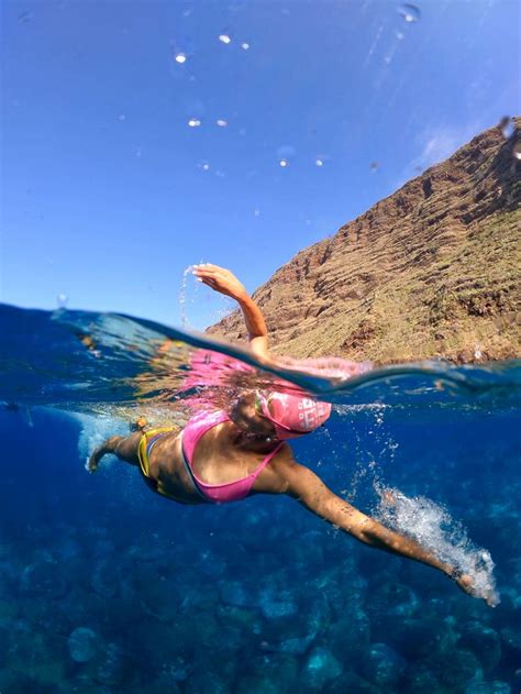 Do You Want To Swim In Madeira Island 🏊‍♂️🏝 Open Water Swimming Swimming Pictures Open Water