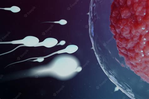 Premium Photo 3d Illustration Sperm And Egg Cell Ovum Sperm Approaching Egg Cell Native And