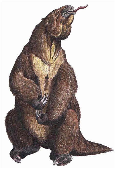 Megatherium Prehistoric Earth Wiki Fandom Powered By Wikia