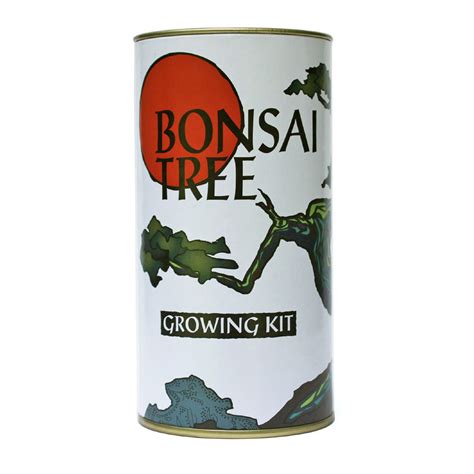 Bonsai Tree Grow Kit | Eartheasy.com