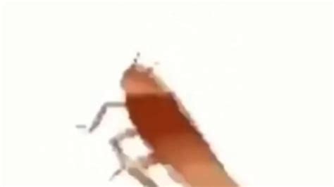 roach dancing meme but to the speed of light - YouTube