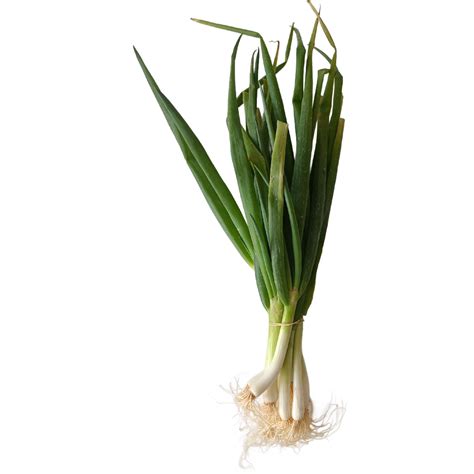 Onion Spring 400g Harvesty