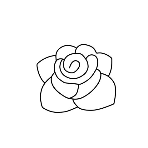 Premium Vector Beautiful Flower Bloom