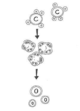 The Proterozoic Eon- Life Gets More Complex