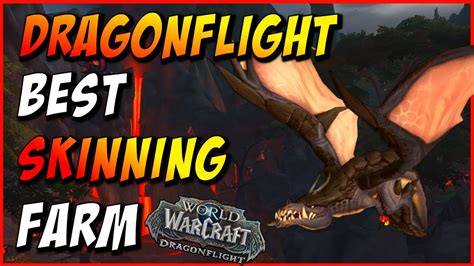 BEST Dragonflight Skinning Farm WoW Dragonflight Best Gold Farm YouTube