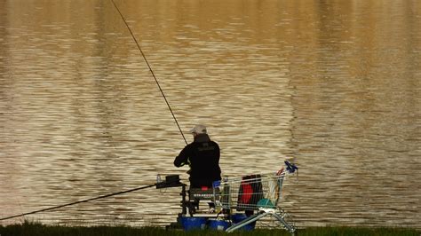 Fishing Fisherman River Free Photo On Pixabay Pixabay
