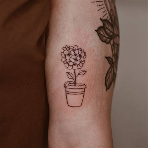 Fine Line Hydrangea Flower Tattoo Located On The Bicep