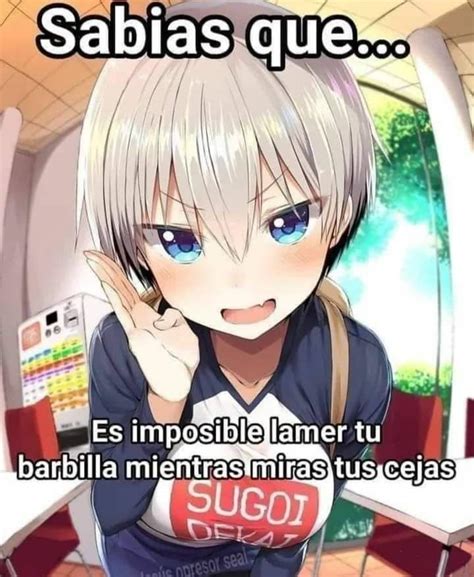 Dato Curioso Anime Amino