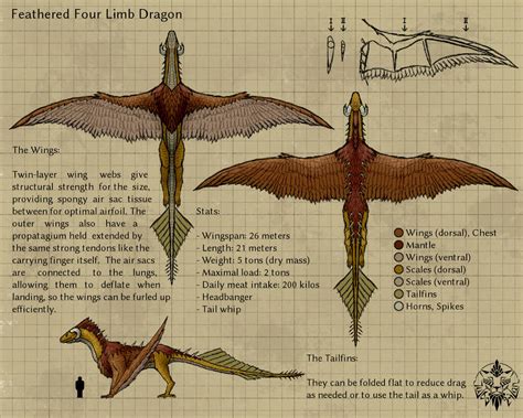 Feathered Dragon Refsheet 1 By Jubatian On Deviantart