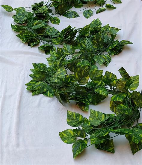 Creeper Green Artificial Money Plant Wall Hanging Foliage For