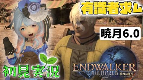 【暁月初見実況】 完全初心者初見わかばヒカセンが大人気オンラインrpgfinal Fantasy Xivを初見プレイ＃ 201 Youtube