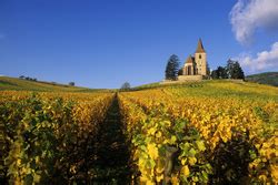 Hunawihr Village Viticole En Alsace Dans Le Pays De Ribeauvill Et