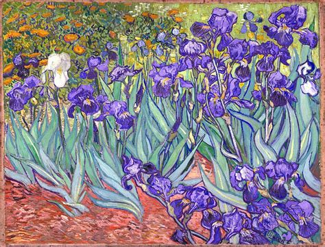 Purple Irises Painting by Vincent Van Gogh - Pixels