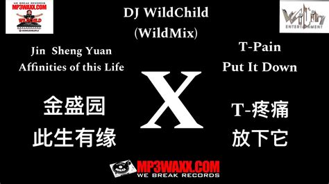 TikTok Chuan Zi Affinities of this life 川子 金盛园 此生有缘X T Pain Put