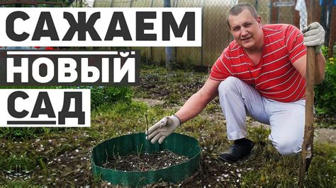 Сажаем новый плодовый сад на даче, 15 деревьев и кустарников. Первая ...