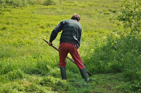 Free Images Man Nature Grass Outdoor Walking Trail Sport Field