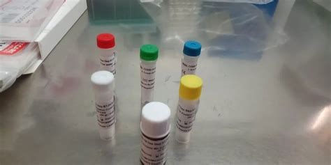 Meril Covid 19 One Step Rtpcr Kit At Rs 40 Piece RT PCR Test Kit In