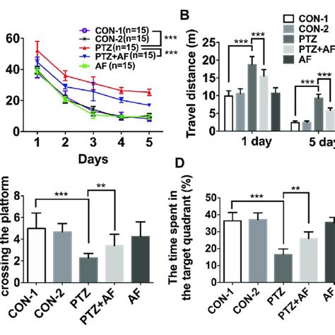 Effects Of Amentoflavone On Seizure Susceptibility In Ptz Induced