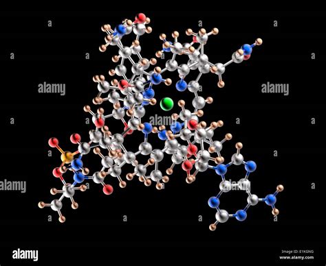 Vitamin B12 Molecular Model Vitamin B12 Cobalamin Is An Essential Nutrient That Humans Are