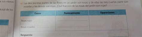 E Las Dos Terceras Partes De Las Flores En Un Jardin Son Rosas Y De