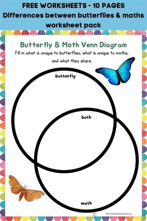 Butterfly And Moth Venn Diagram Moths Butterflies Venn Diagr