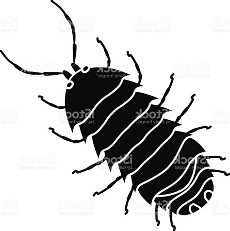 Pill Bug Drawing Free Download On Clipartmag