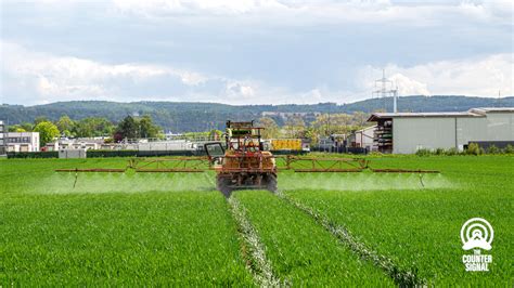 Agriculture Canada backtracks on alleged nitrogen reduction mandate ...