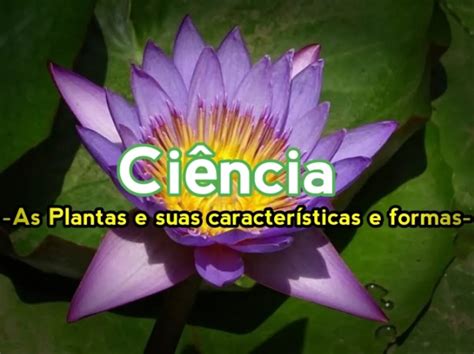 Qual É O Nome Da Ciência Que Estuda As Plantas - Ciência - As Plantas E Suas Características E Formas | Fernando Gabriel ...